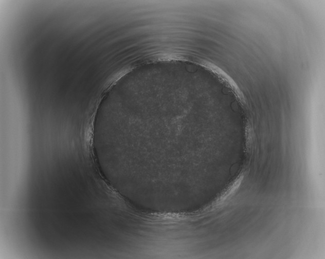 X0000101460785200807280958