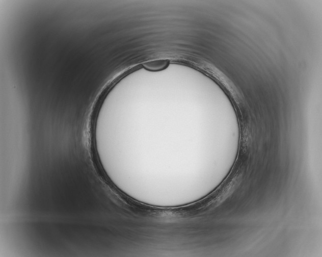 X0000101460787200807280958