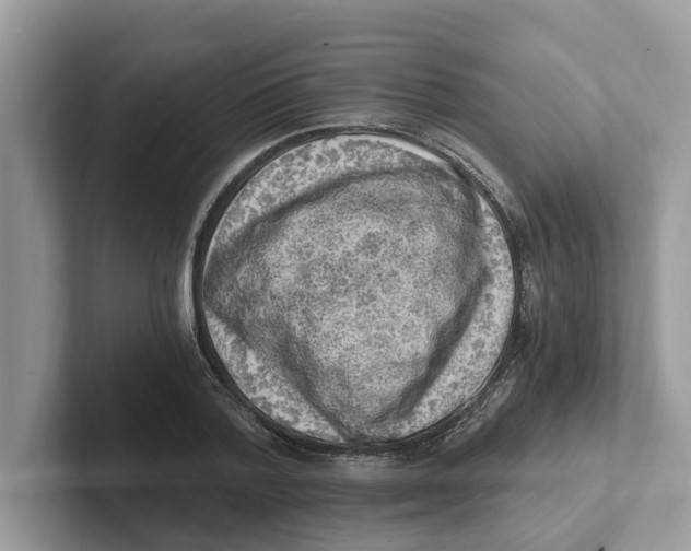 X0000101460788200807280958