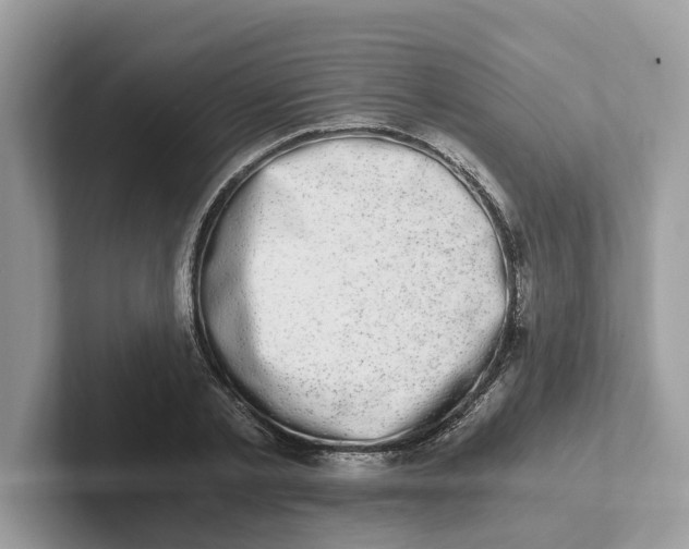 X0000101460789200807280958