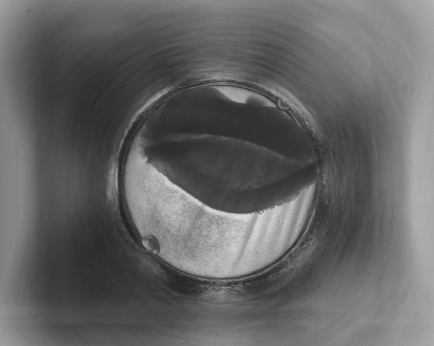 X0000101460790200807280958