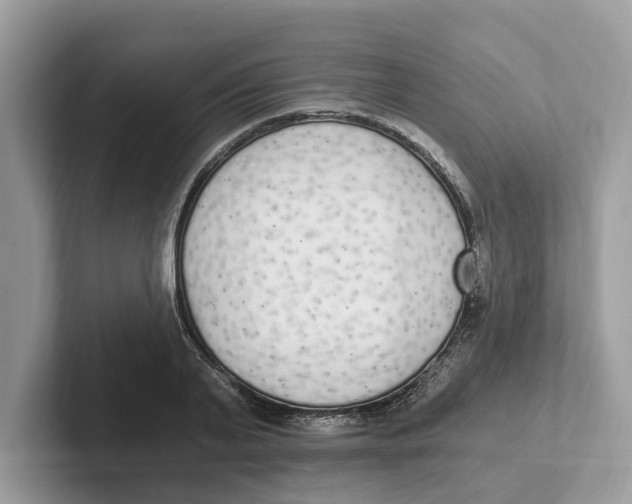 X0000101460791200807280958