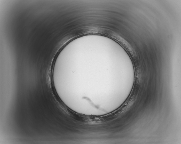 X0000101460794200807280958