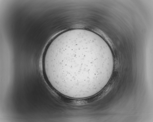 X0000101460795200807280958