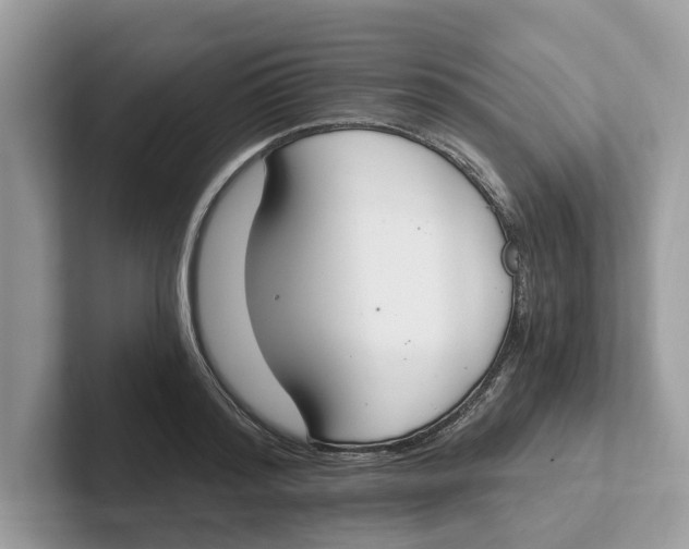 X0000101460796200807280958