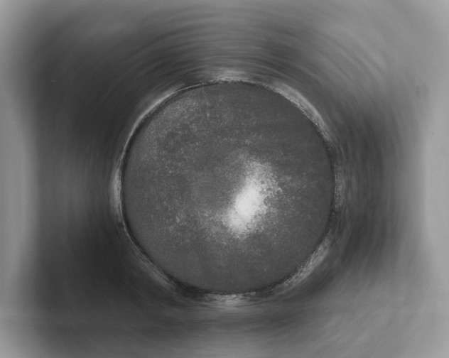 X0000101460798200807280958