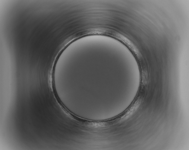 X0000101460802200807280958