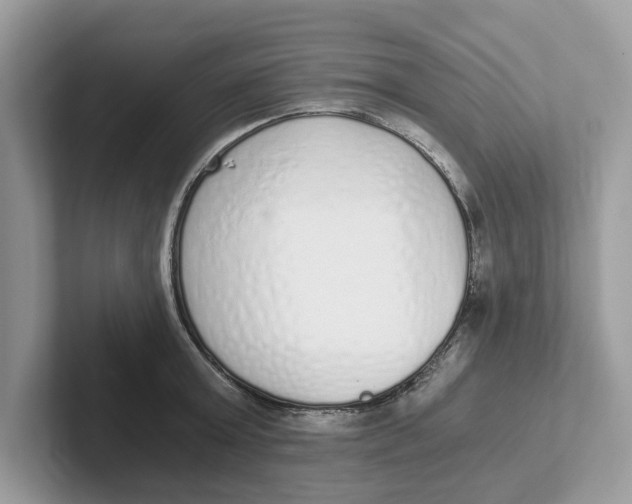 X0000101460803200807280958