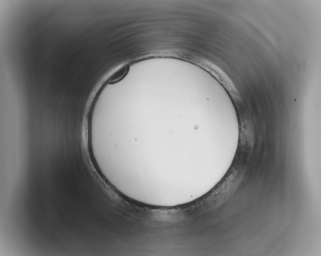 X0000101460804200807280958