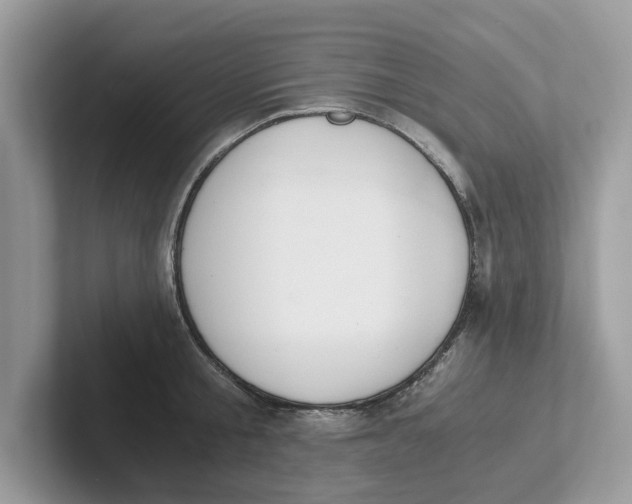 X0000101460805200807280958