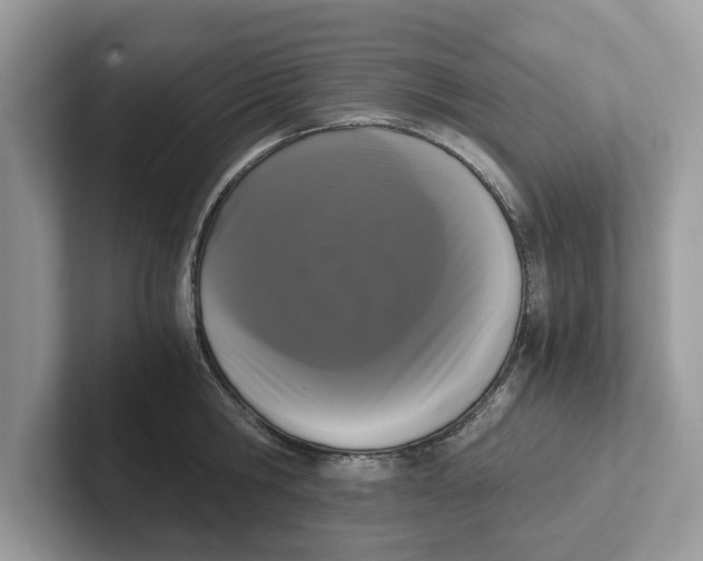 X0000101460806200807280958