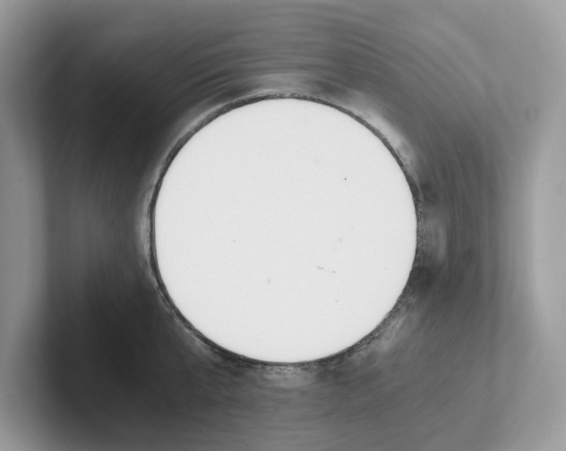 X0000101460807200807280958