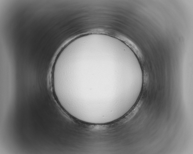 X0000101460808200807280958