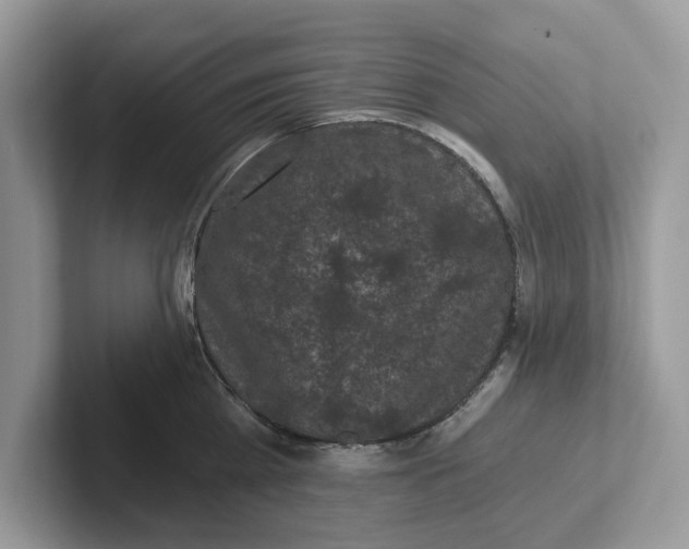 X0000101460809200807280958