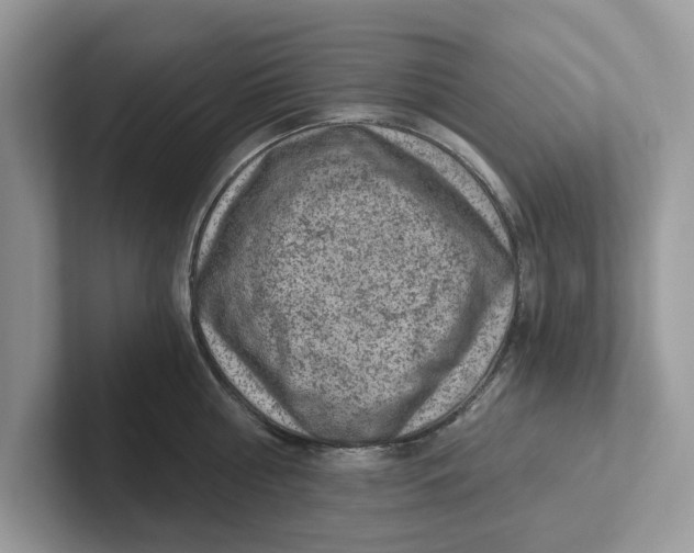 X0000101460810200807280958