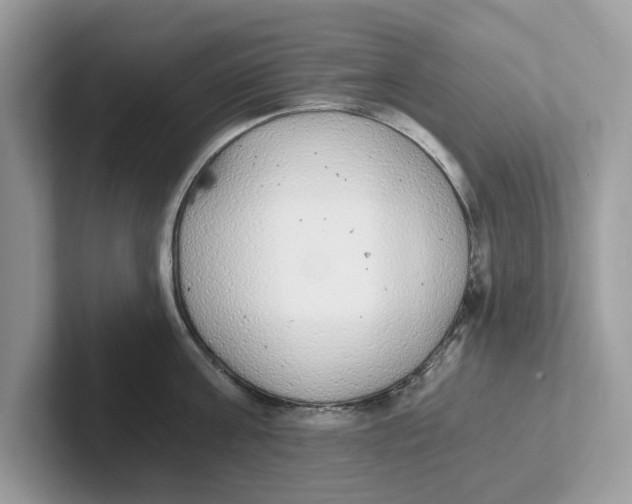 X0000101460811200807280958