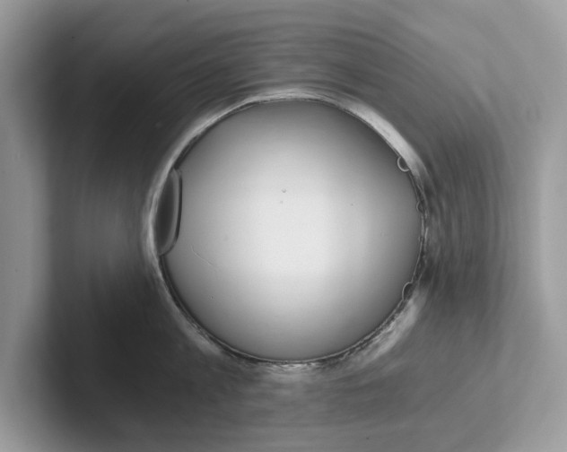 X0000101460813200807280958