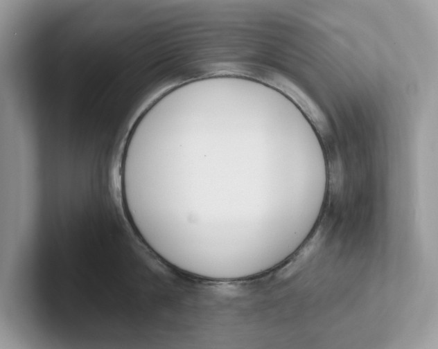 X0000101460814200807280958