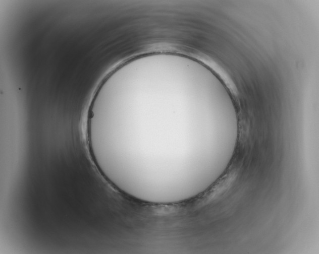 X0000101460815200807280958