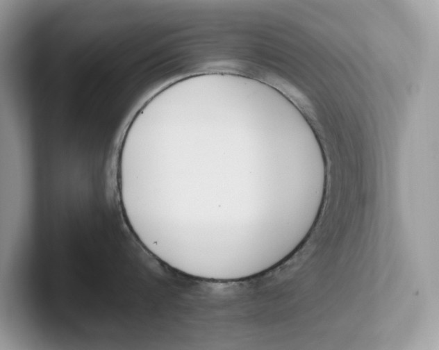 X0000101460816200807280958