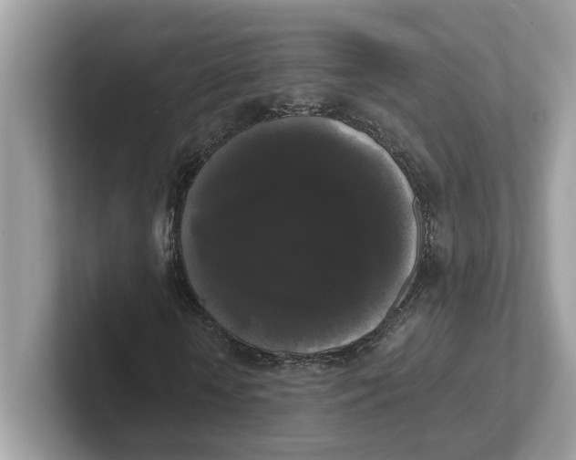 X0000101460818200807280957