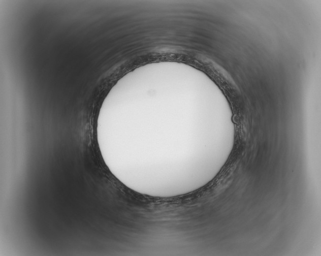 X0000101460821200807280957