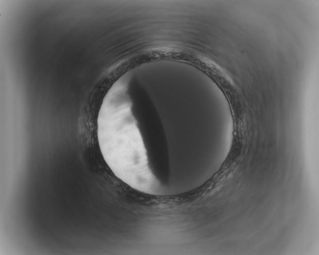 X0000101460822200807280957