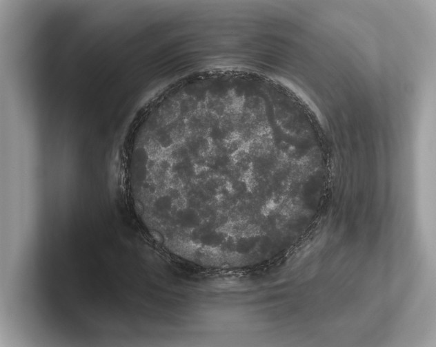 X0000101460823200807280957