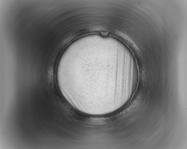 X0000101460825200807280957