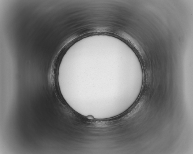 X0000101460827200807280957