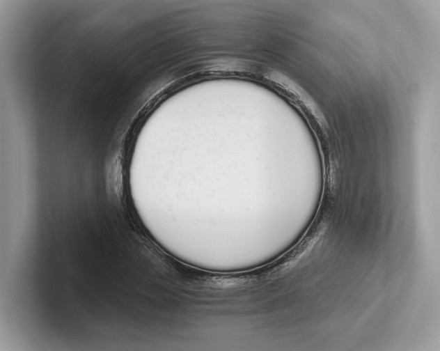 X0000101460829200807280957