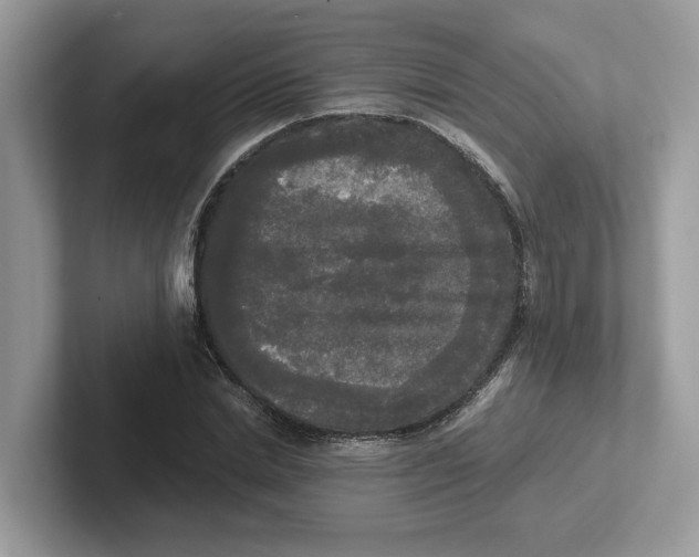 X0000101460830200807280957