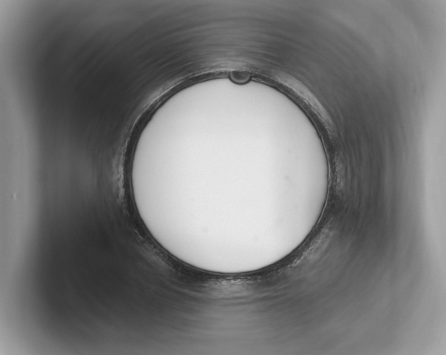 X0000101460834200807280957