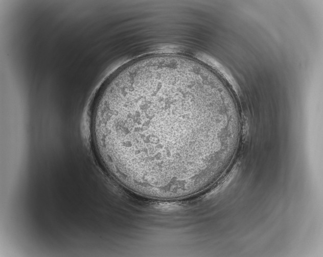 X0000101460835200807280957