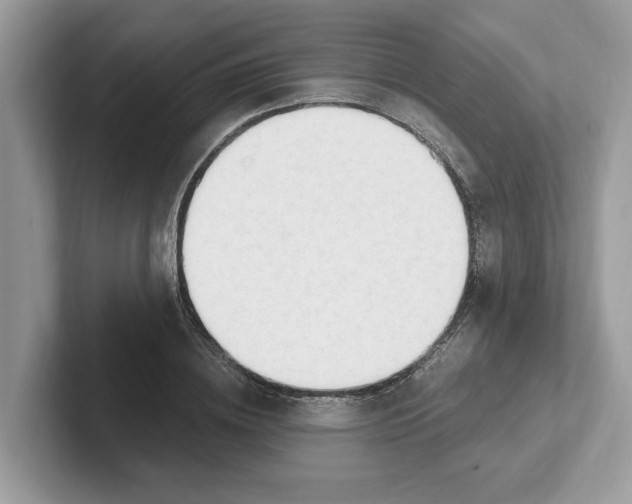 X0000101460836200807280957