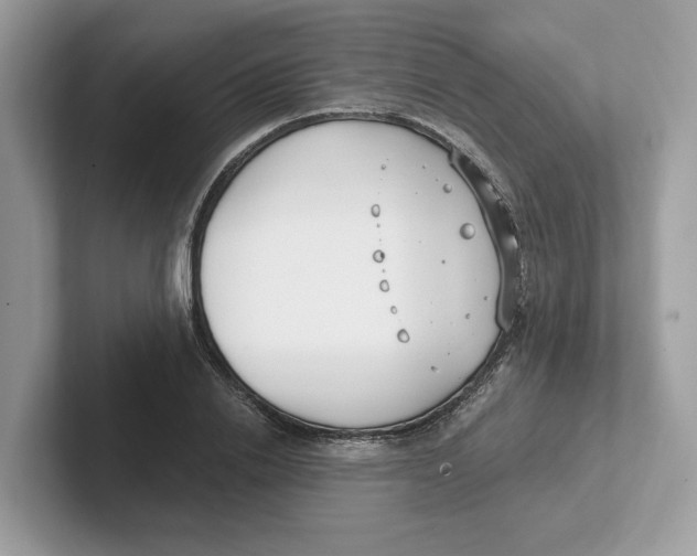 X0000101460838200807280958