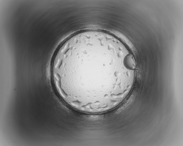 X0000101460839200807280958