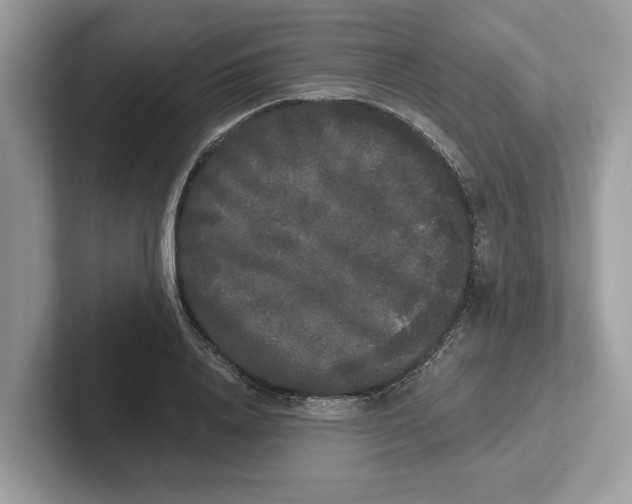 X0000101460840200807280958