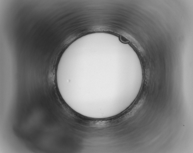 X0000101460841200807280958