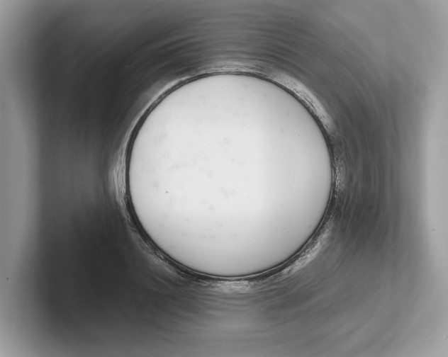 X0000101460844200807280958