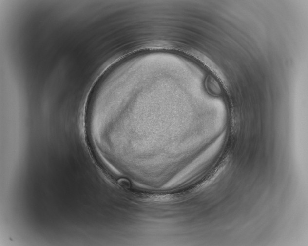 X0000101460845200807280958