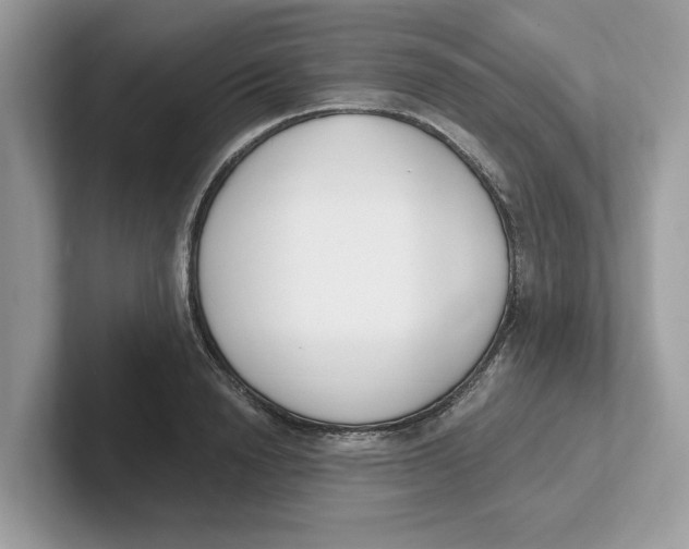 X0000101460846200807280958