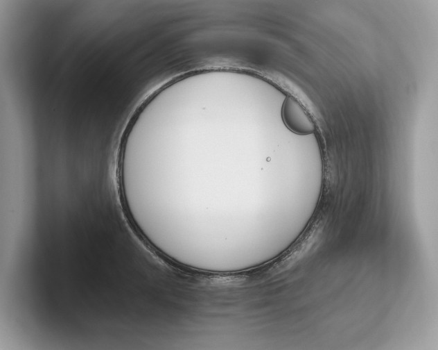 X0000101460847200807280958