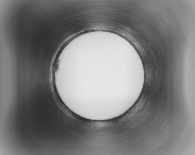 X0000101460848200807280958