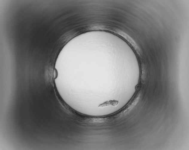 X0000101460849200807280958