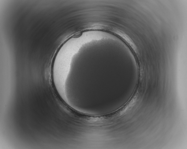 X0000101460850200807280958