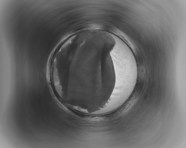 X0000101460851200807280958