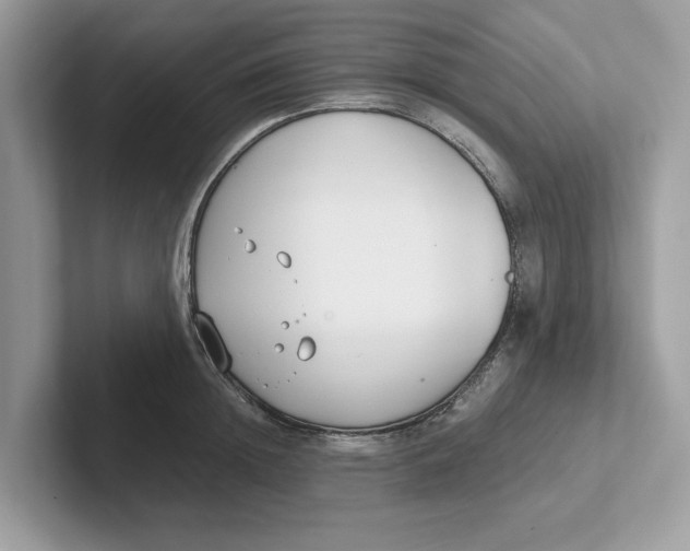 X0000101460852200807280958