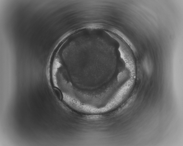 X0000101460853200807280958