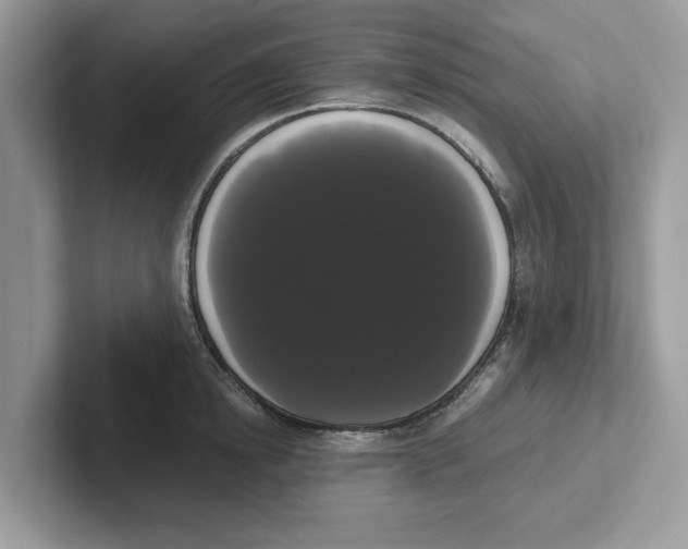 X0000101460854200807280958